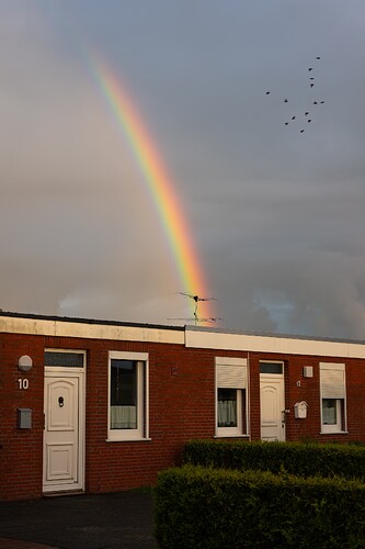 Bearbeitung Regenbogen mit vogelschwarm Dornumersiel 2023 LR