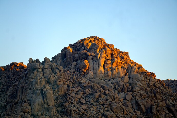 JoshuaTree Berg